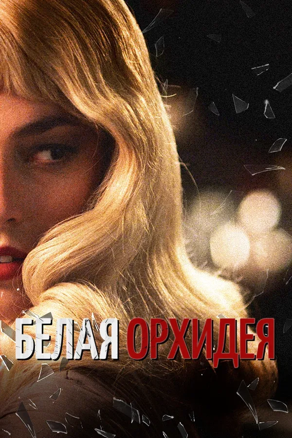 Постер «Белая орхидея»