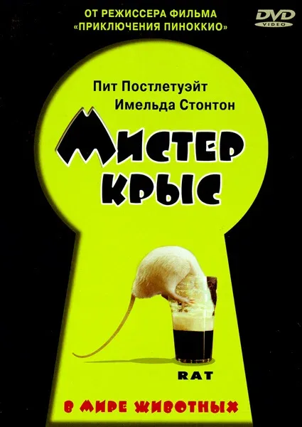 Постер: Мистер крыс