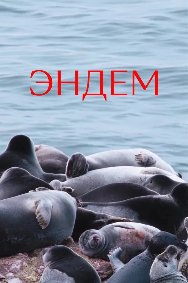 Постер «Эндем»