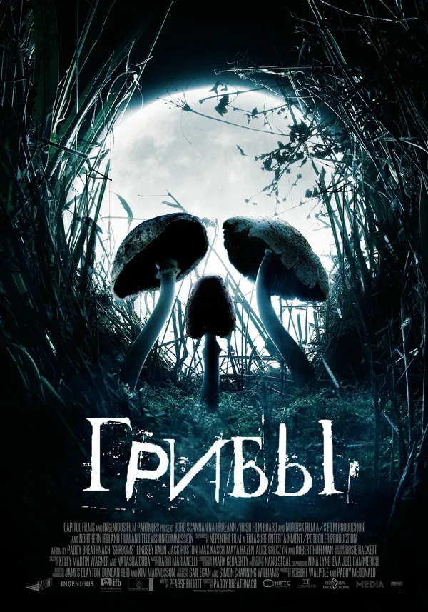 Постер: Грибы