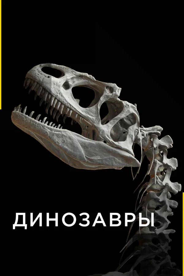 Постер «Динозавры»
