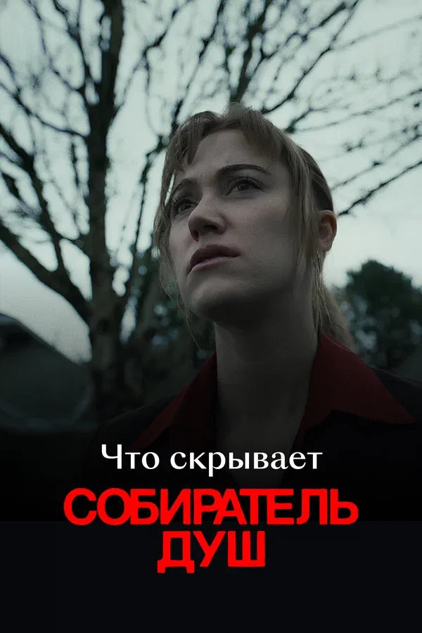 Постер «Что скрывает «Собиратель душ»»