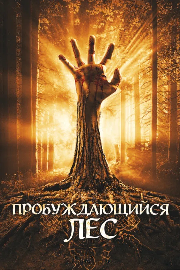 Постер: Пробуждающийся лес