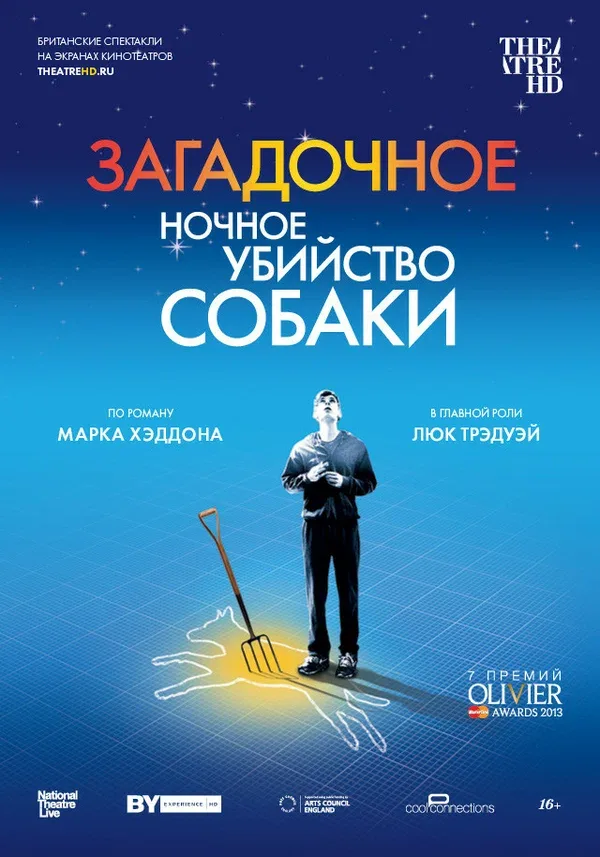 Постер «Загадочное ночное убийство собаки»
