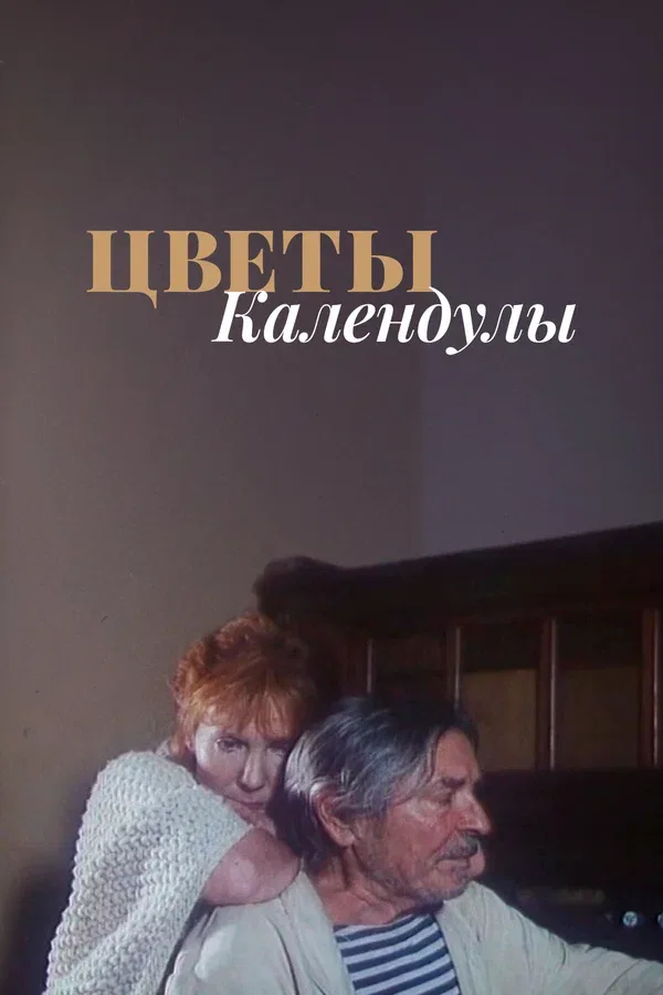 Постер: Цветы календулы