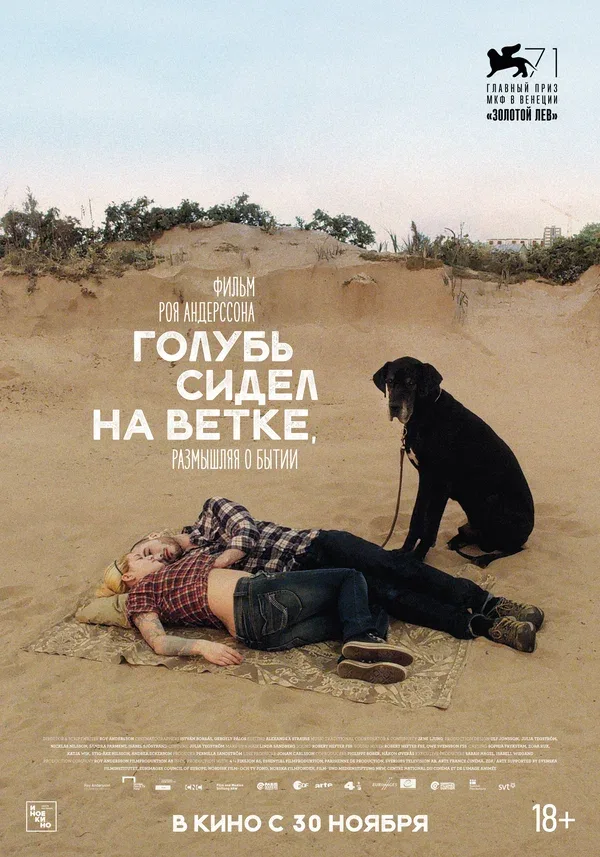Постер «Голубь сидел на ветке, размышляя о бытии»