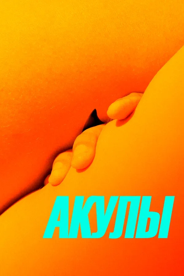 Постер «Акулы»