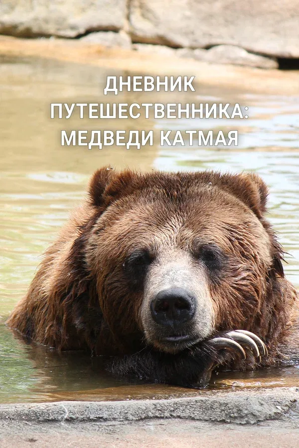 Постер «Дневник путешественника: Медведи Катмая»