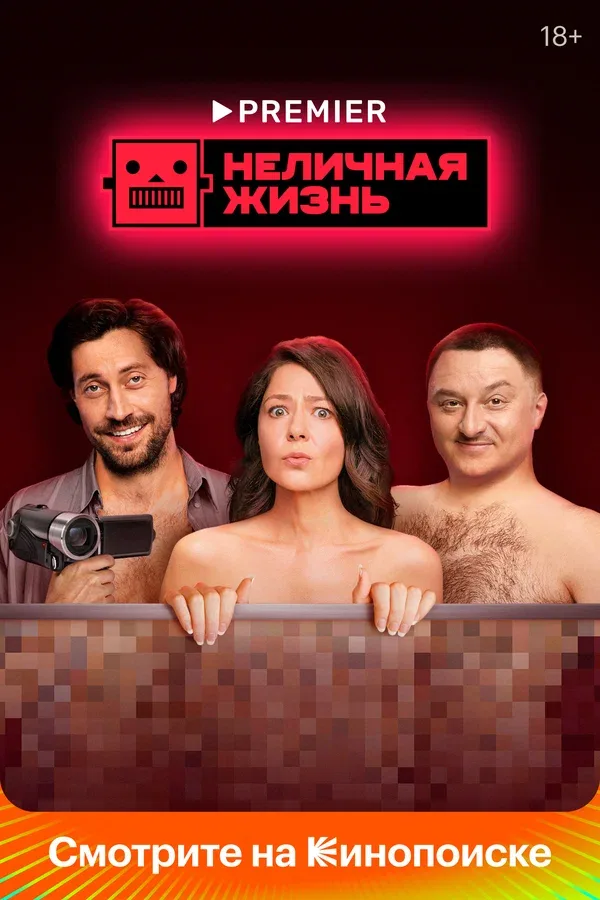 Постер «Неличная жизнь»