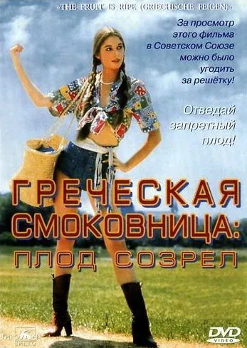 Постер «Греческая смоковница»
