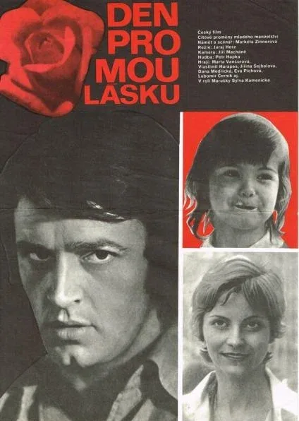 Постер «День для моей любви»