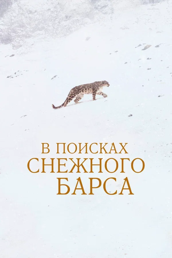 Постер «В поисках снежного барса»