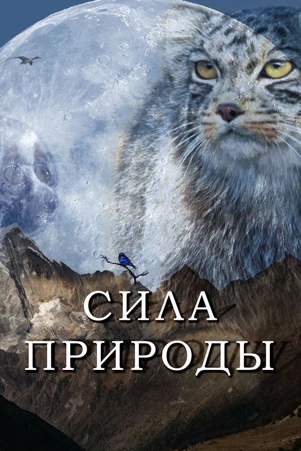 Постер: Сила природы