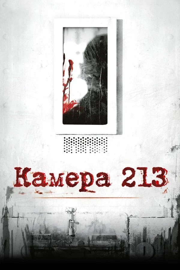 Постер: Камера 213