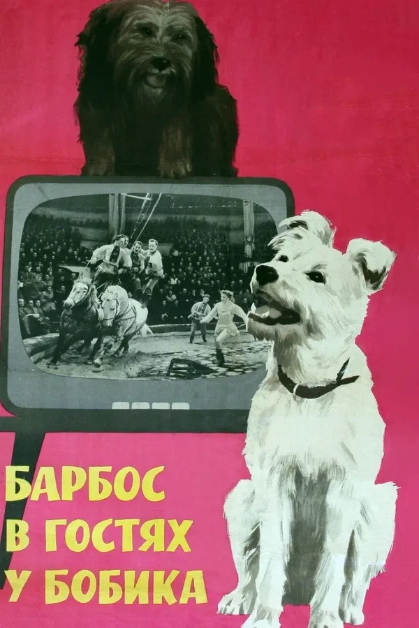 Постер: Барбос в гостях у Бобика