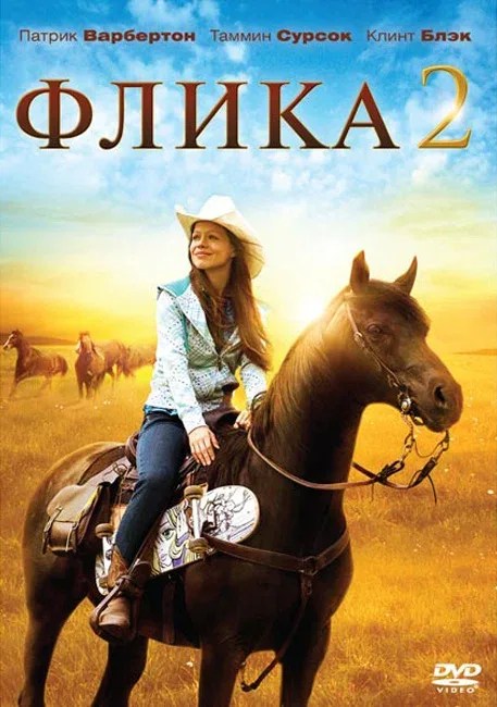 Постер «Флика 2»