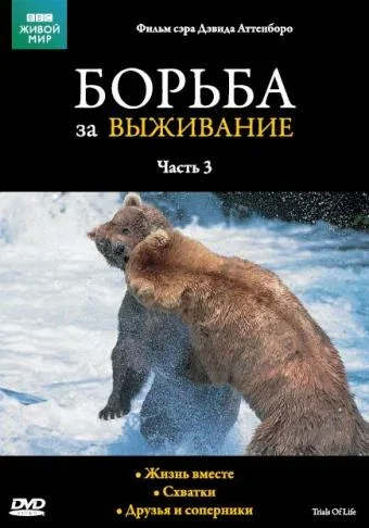 Постер «BBC: Борьба за выживание»