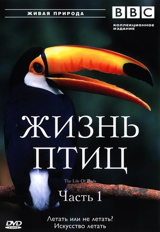 Постер: BBC: Жизнь птиц