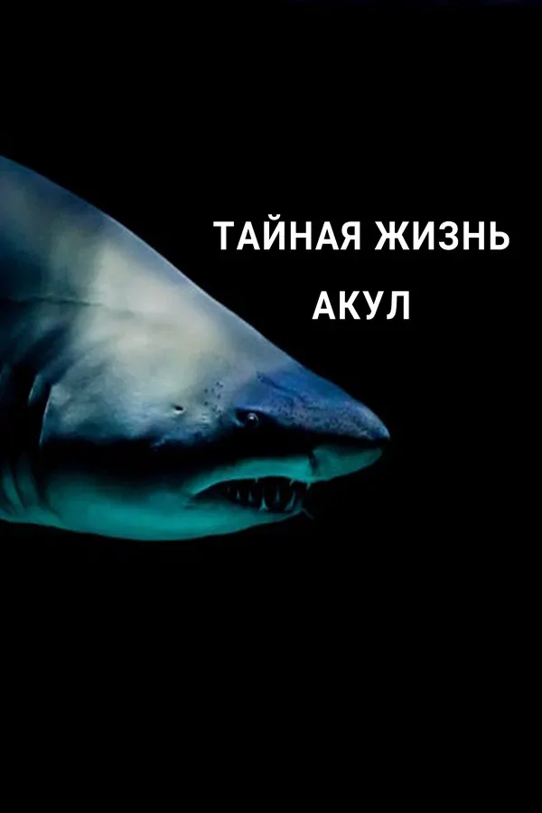 Постер: Тайная жизнь акул