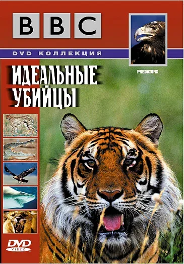 Постер «BBC: Идеальные убийцы»