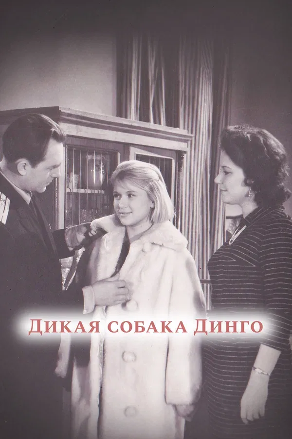 Постер «Дикая собака динго»