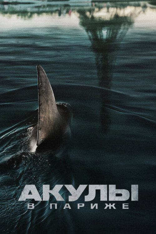 Постер «Акулы в Париже»