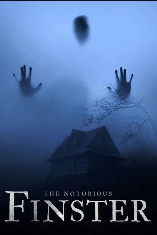 Постер «The Notorious Finster»