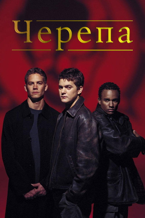 Постер «Черепа»
