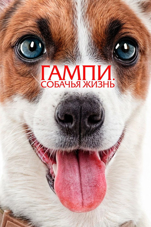 Постер «Гампи. Собачья жизнь»