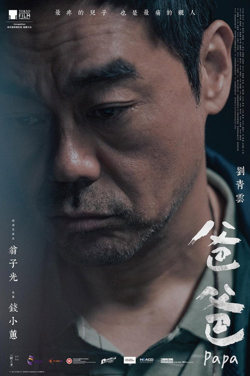 Постер «爸爸»