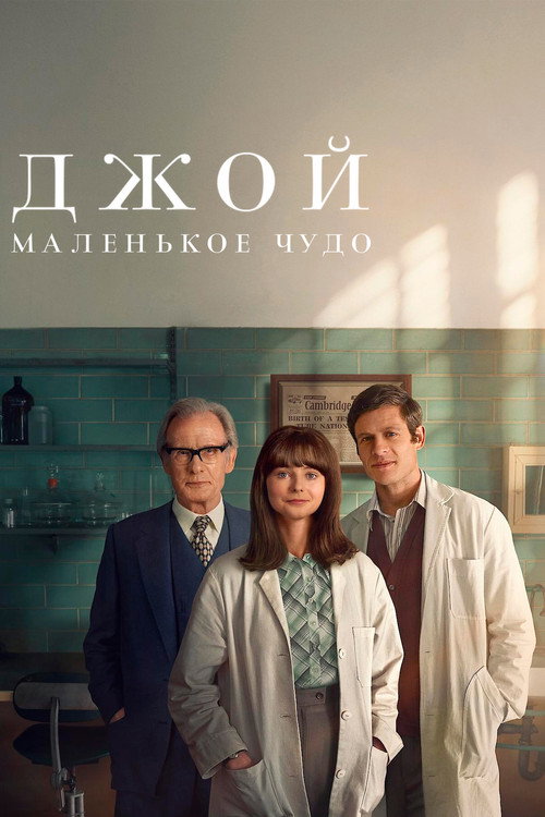 Постер «Джой: маленькое чудо»