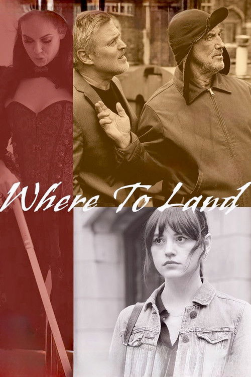 Постер «Where to Land»