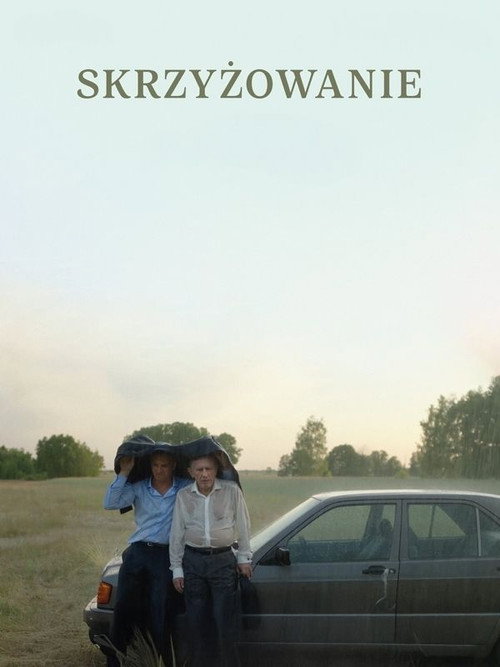 Постер «Skrzyżowanie»