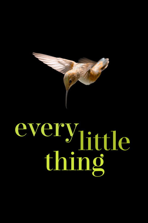 Постер «Every Little Thing»