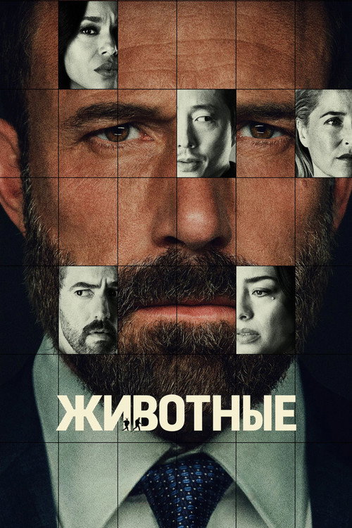 Постер «Животные»
