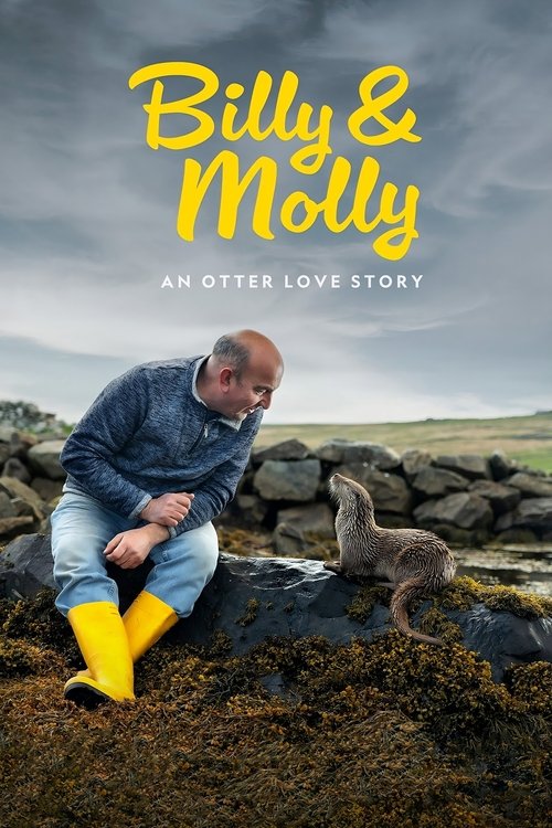 Постер «Billy & Molly: An Otter Love Story»