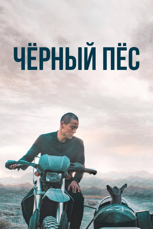 Постер «Чёрный пёс»