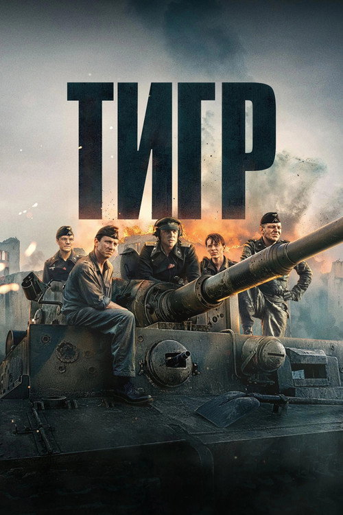 Постер «Тигр»