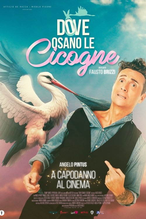 Постер «Dove osano le cicogne»
