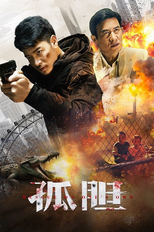 Постер «孤胆»