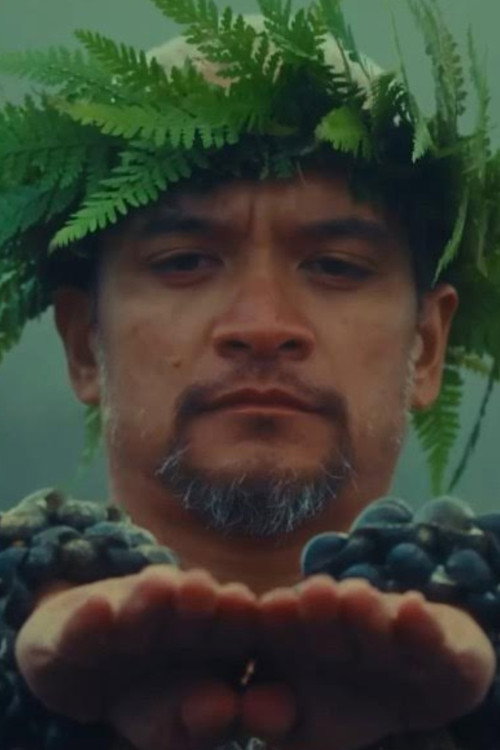 Постер «Hula is Hawaii»