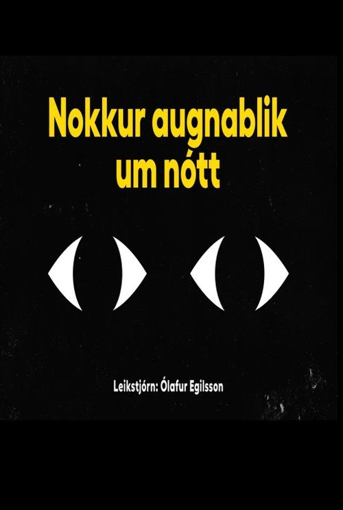Постер «Nokkur augnablik um nótt»