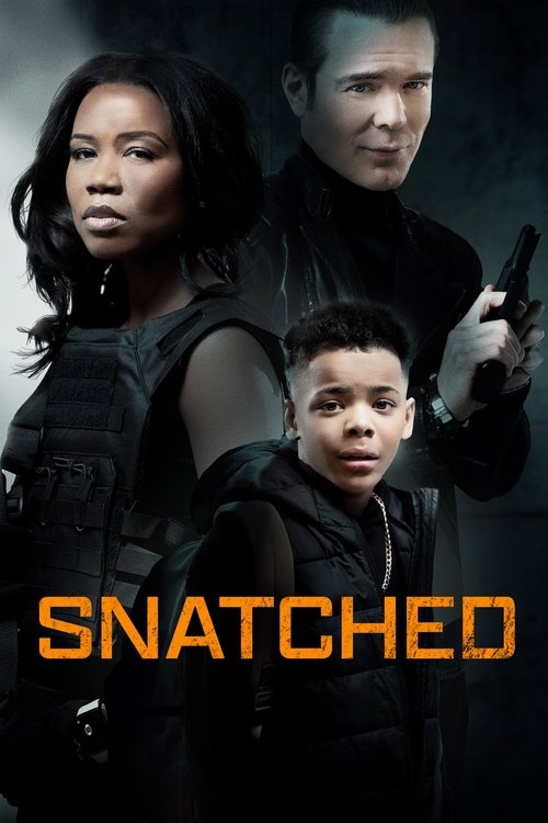 Постер «Snatched»