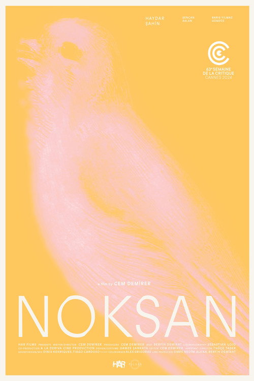 Постер «Noksan»