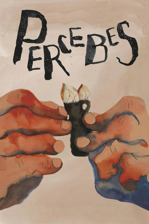 Постер «Percebes»