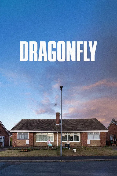 Постер «Dragonfly»