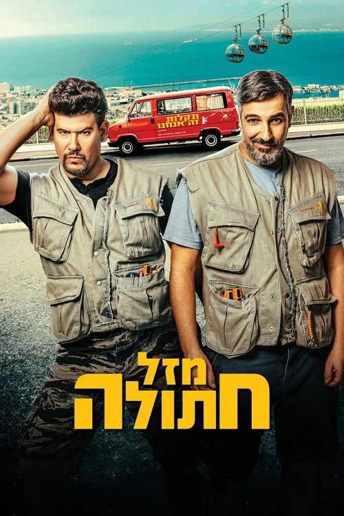 Постер «מזל חתולה»