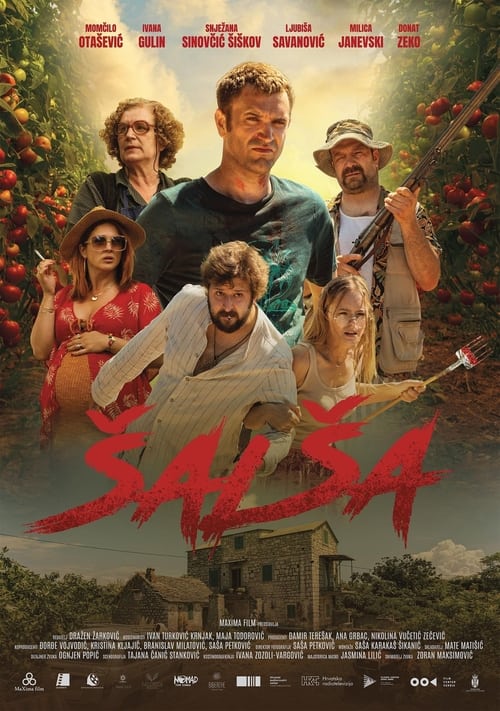 Постер: Šalša