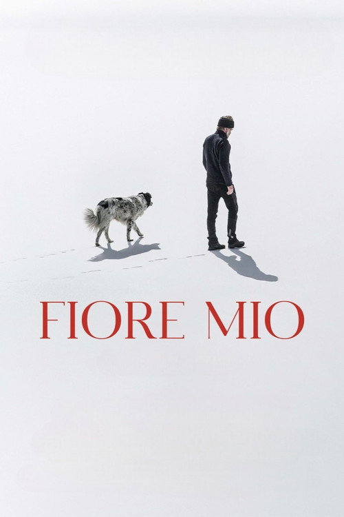Постер «Fiore mio»