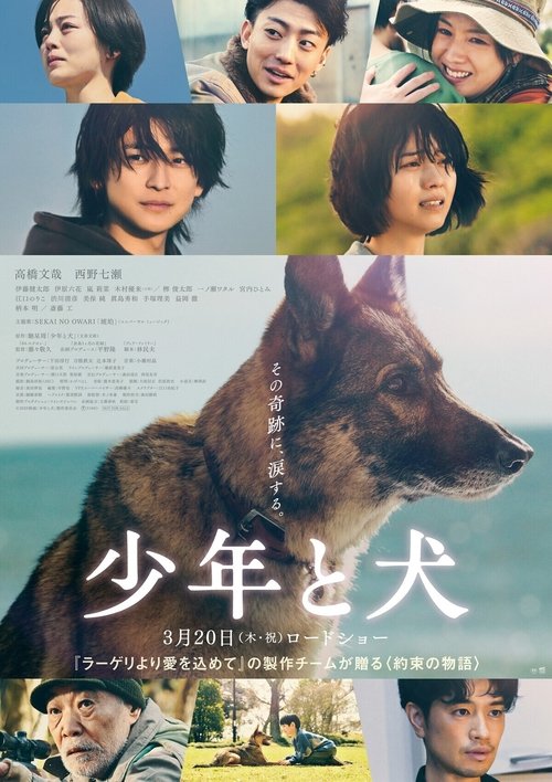 Постер «少年と犬»